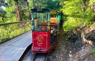 Driving Creek Railway Snake Train Coromandel