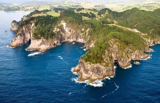 Hahei Coastline