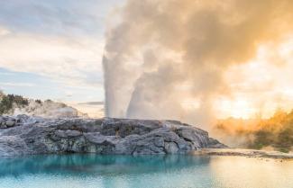 Pohutu Geyser erupting in Te Puia in Rotorua