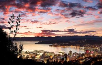 Wellington City at dawn