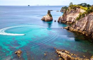 Cathedral Cove Boat Tour