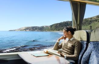 Lady on the Coastal Pacifc Train