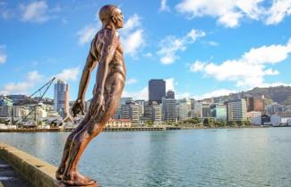 Wellington Harbour