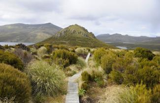Campbell Island