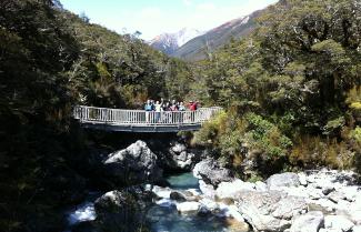 Arthur's Pass National Park Guided Hike