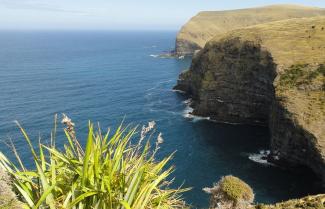 Banks Peninsular Track