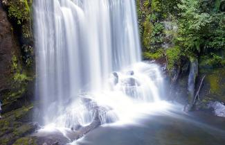 Beautiful Lake Waikaremoana Guided Walk