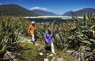Discover Martins Bay on the Hollyford Track