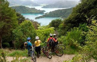 Mountain Biking the Queen Charlotte Track