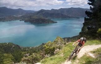 Mountain Biking Queen Charlotte Sound