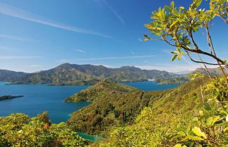 Queen Charlotte Track, Freedom Walk