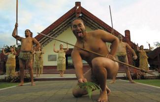 New Zealand Cultural Show