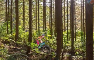 Auckland Mountain Biking