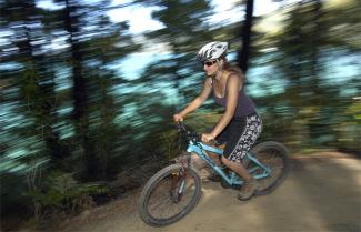 Mountain Biking the Queen Charlotte Track, New Zealand