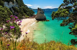 Stunning Cathedral Cove New Zealand
