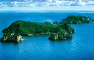 Poorknights islands