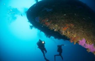 Diving the Canterbury