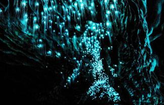 Glowworm cave