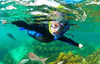 Snorkey Cathedral Cove