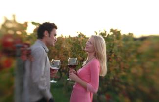 A couple enjoying a glass of wine in a Hawkesbay vinyard.