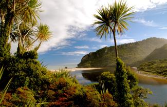 Beach view