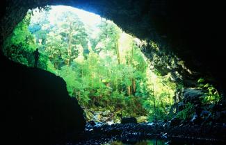 Heaphy guided walk