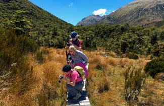 Arthurs Pass Hike