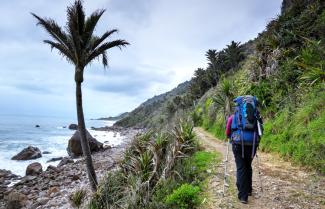 Hiking around the Coast