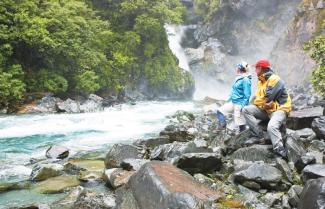 Falls near the Hollyford River