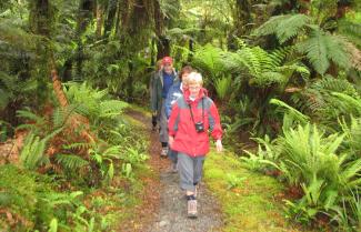 Hollyford Track