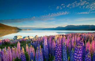 Lake Tekapo