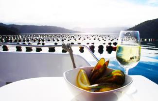 Marlborough Sounds Wine Cruise