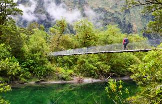 Day 2 Milford Track