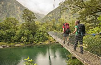 Day 1 Milford Track Freedom Walk