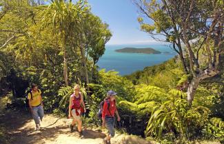 Queen Charlotte Track