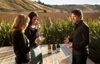 Central Otago Wine Tour
