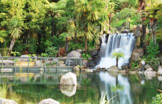 Rainbow Springs Rotorua