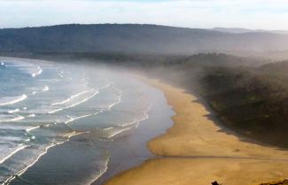 Beach on Stewart Island