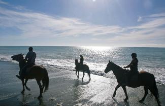 Horse Riding on Beach
