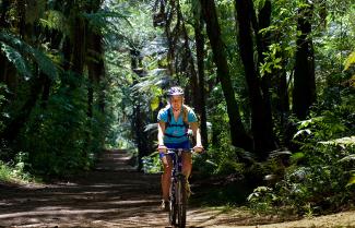 Enjoy Mountain Biking in the impressive Rotorua forests.