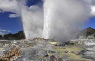 Te Puia Geyser