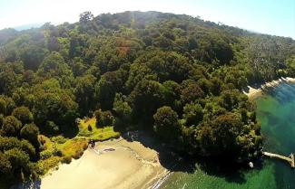 Aerial View Rukiura Track