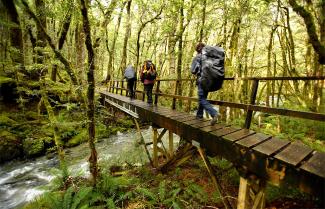 Milford Track, Fiordland National Park, New Zealand