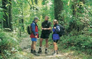 Queen Charlotte Walking Trail