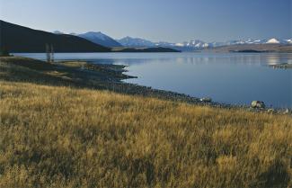 Walking along Lake Tekapo on the High Country Trek