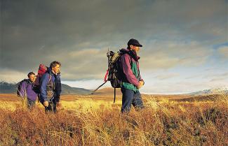 Northern Circuit Guided Hike on Tongariro Crossing