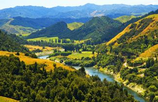 Whanganui National Park