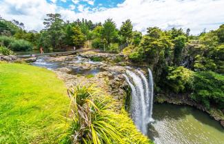 Whangarei Falls