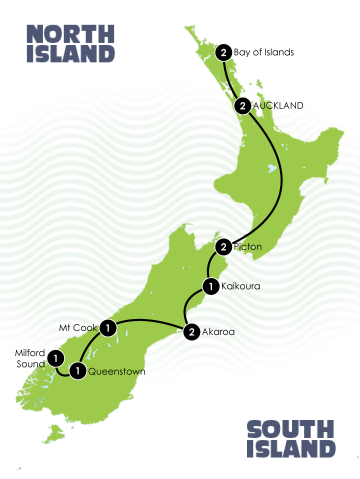 New Zealand Whale Dolphin Tour