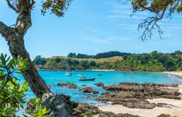 Auckland Beaches 